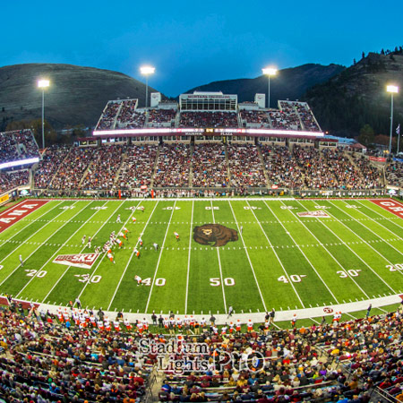 Washington-Grizzly Stadium lighting layout