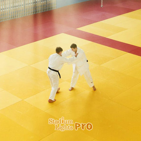 judo