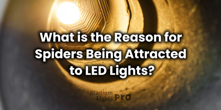 why do LED lights attract spiders